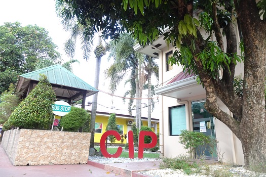 CIP