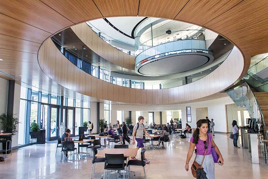 Louisiana State University
路易斯安那州立大學