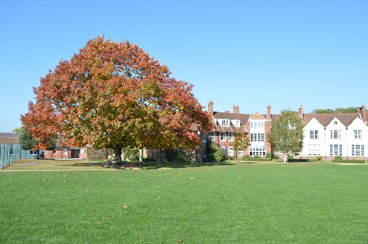 Highfield & Brookham Schools